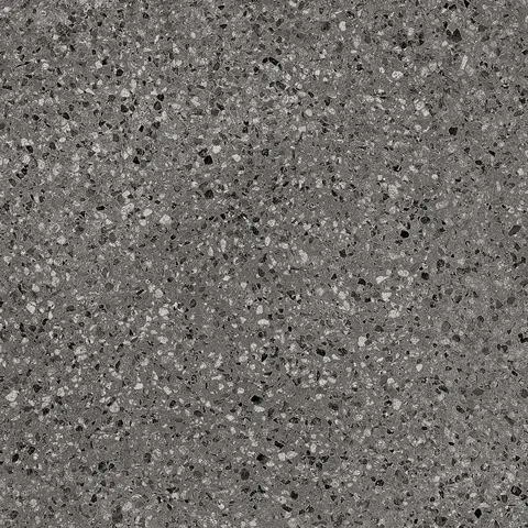 POLY MOCHA view 2